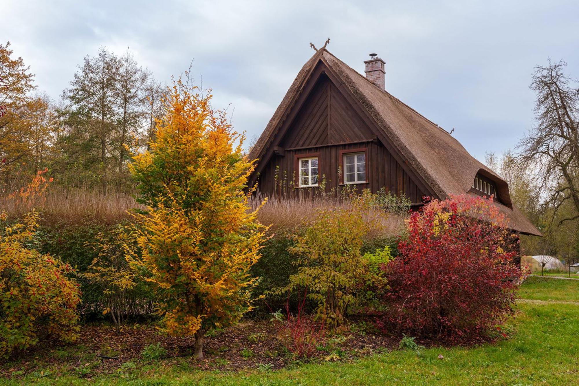 Exklusives Holzhaus Villa Burg  Exterior foto